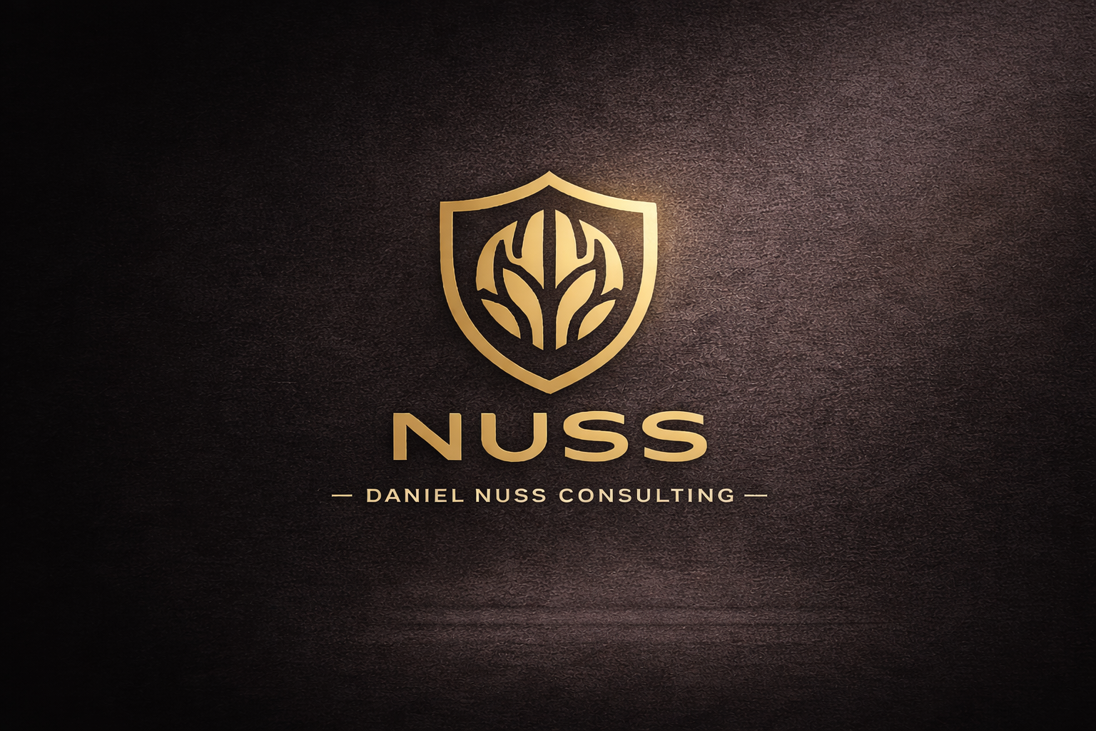 Daniel Nuss Consulting Logo